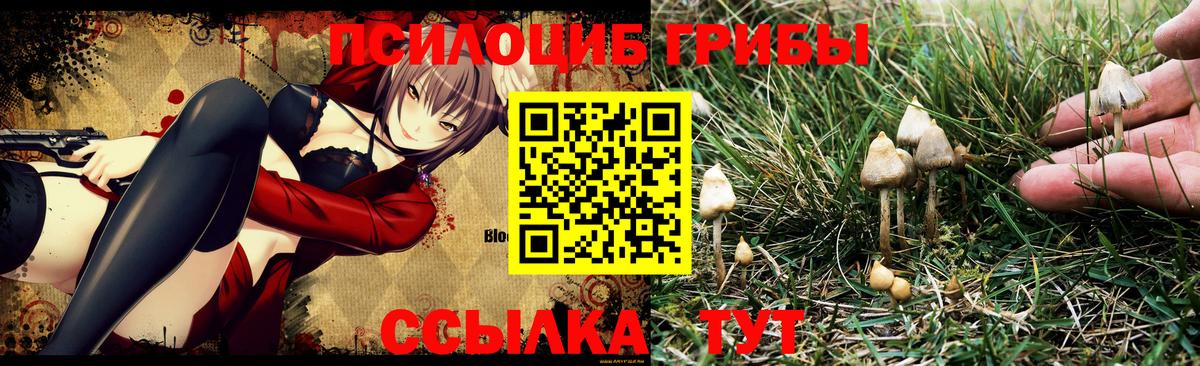 Галлюциногенные грибы мицелий Минусинск